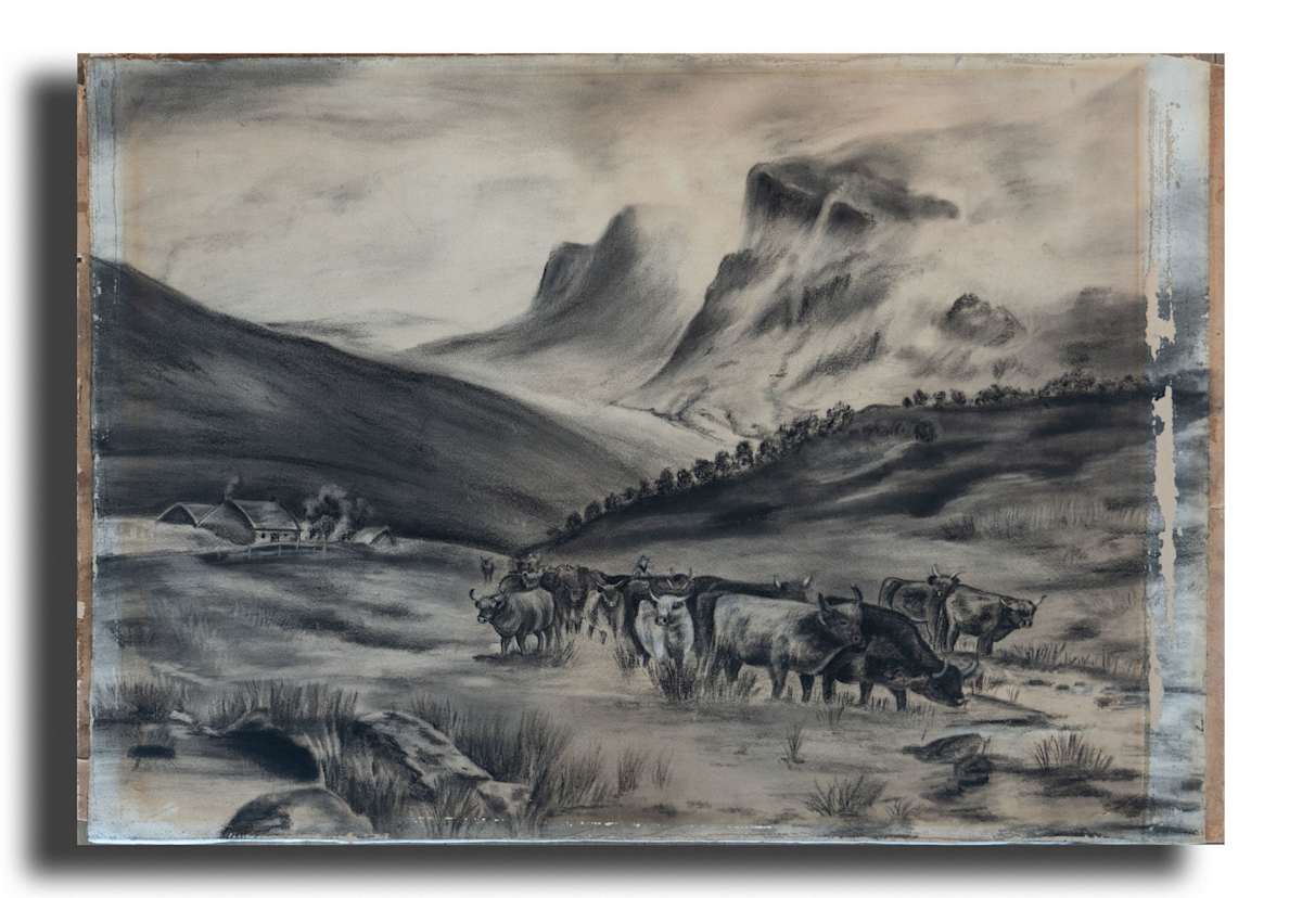 Grazing Cattle by C.R.Kaye, Image 1.