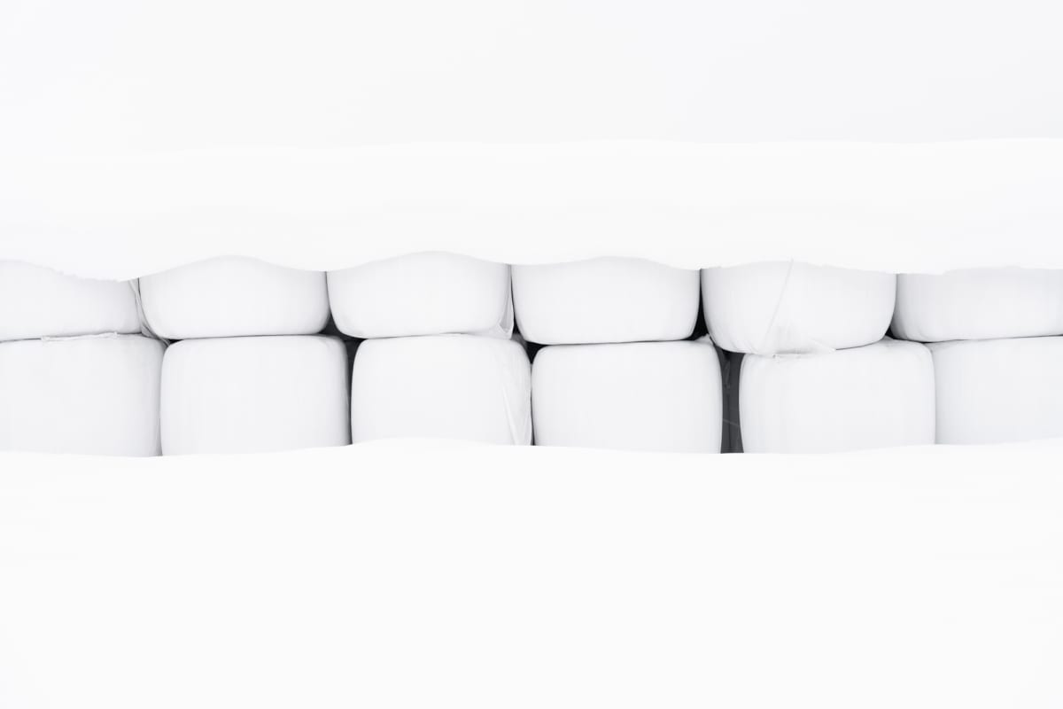 Chatter by Vera Conley 