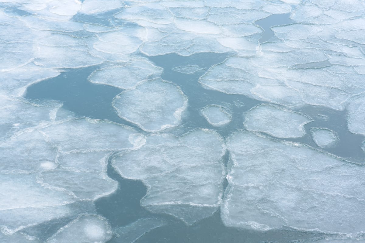 Frosted Flakes by Vera Conley 