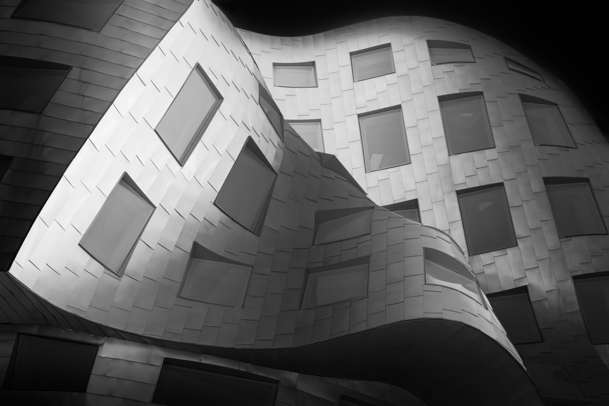 Viva El Gehry by Vera Conley, Image 1.