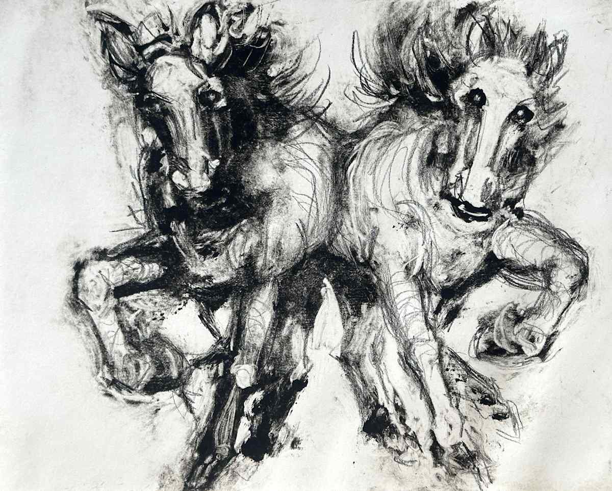 Here They Come: A Team in the Year of the Horse, 1/2 by Annie Shaver-Crandell, Image 1.