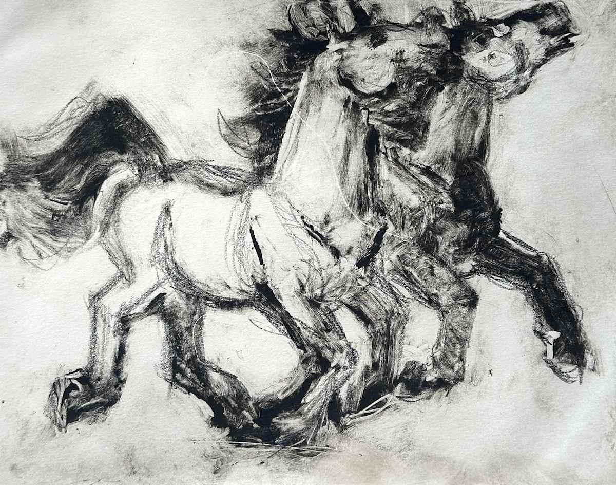 Teamwork in the Year of the Horse, 1/2 by Annie Shaver-Crandell, Image 1.