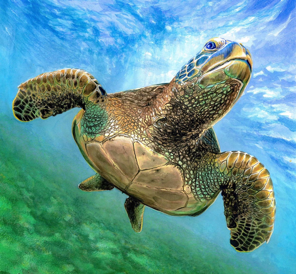 Sea Turtle: Non-plastic Ocean by Julia iSABEL, Image 1.