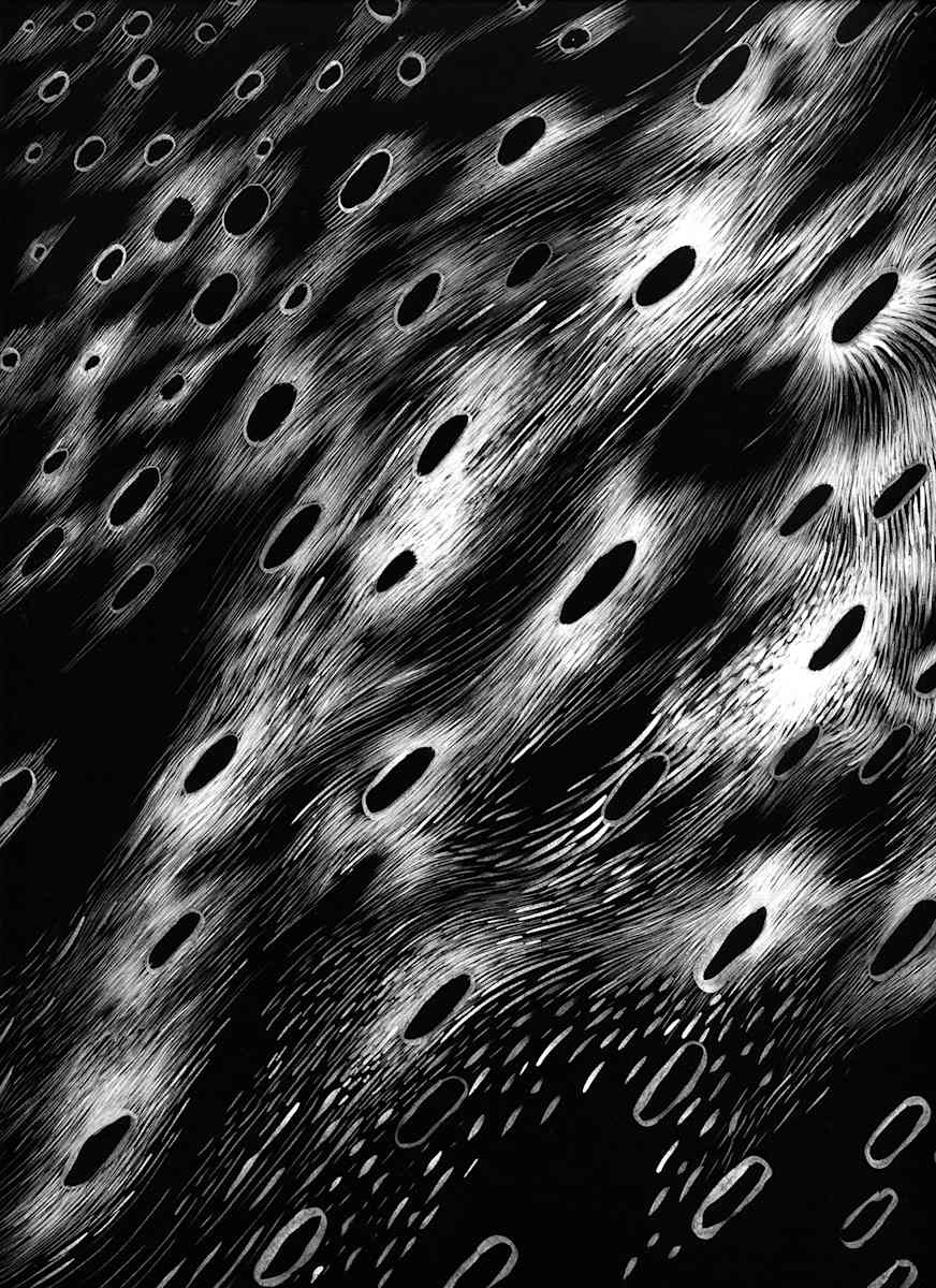 021720 - Series: Patterns of Change by Bea Ortiz  Image: 021720 - Series: Patterns of Change