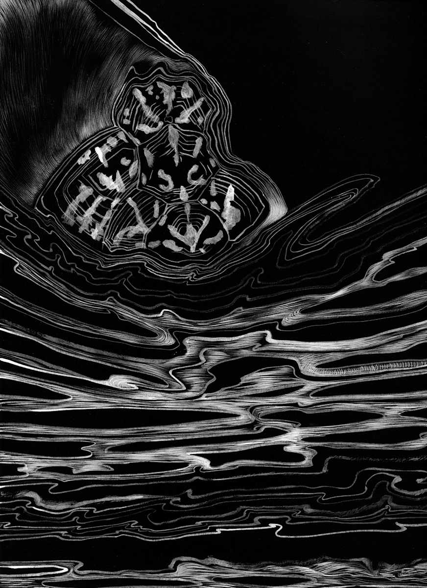 021920 - Series: Patterns of Change by Bea Ortiz  Image: 021920 - Series: Patterns of Change