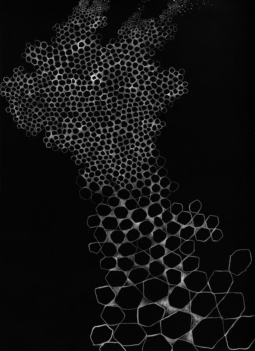 022020 - Series: Patterns of Change by Bea Ortiz  Image: 022020 - Series: Patterns of Change