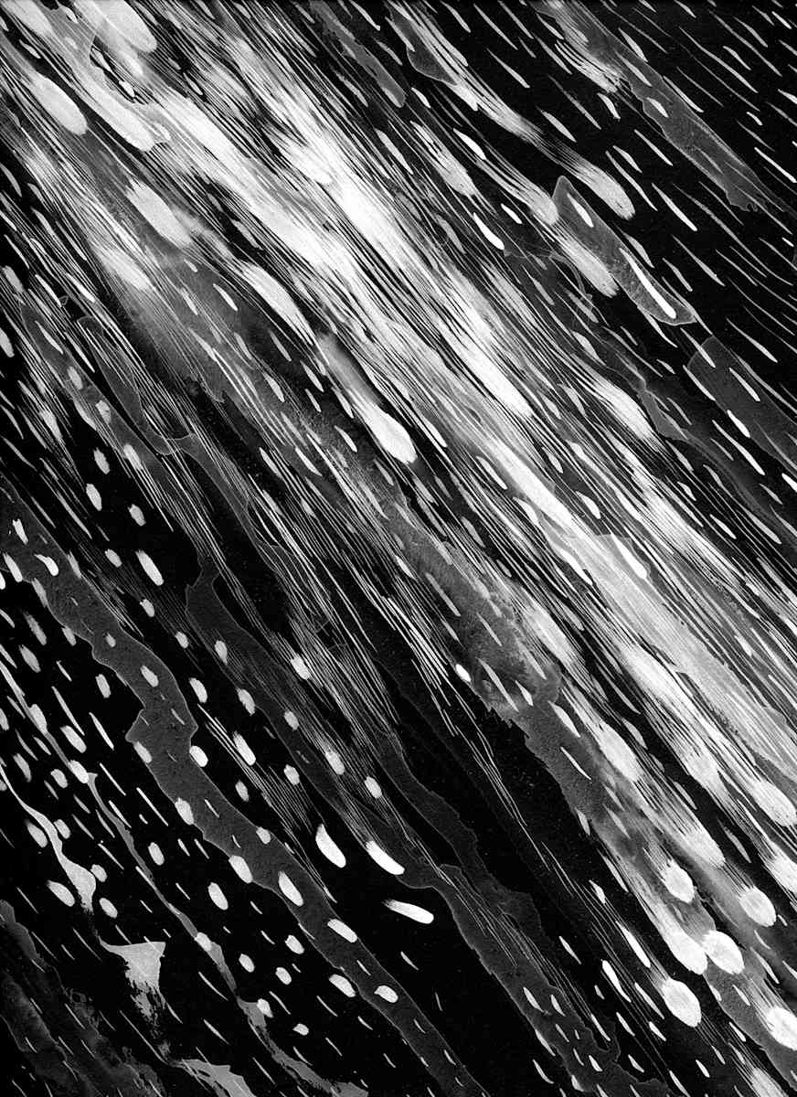 030321 - Series: Patterns of Change by Bea Ortiz  Image: 030321 - Series: Patterns of Change