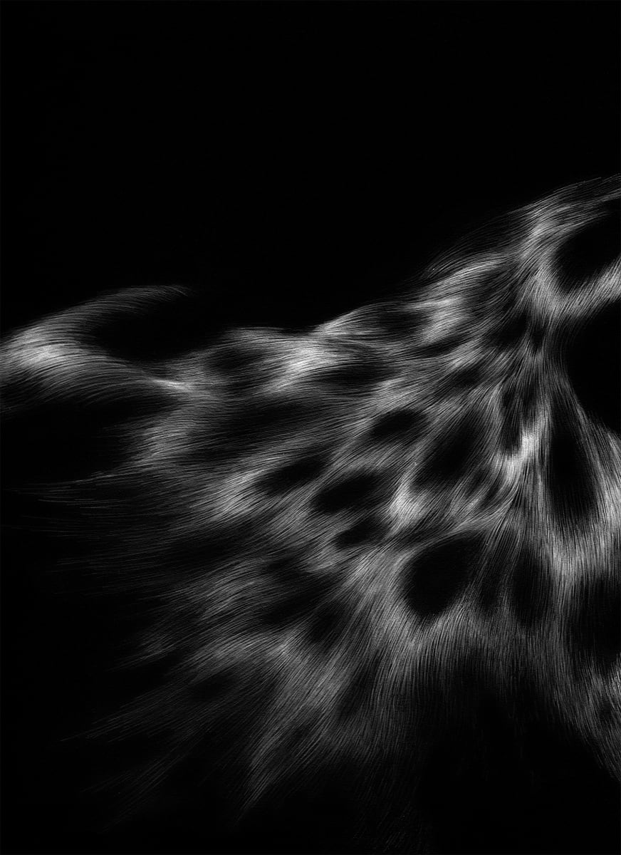061421 - Series: Patterns of Change by Bea Ortiz  Image: 061421 - Series: Patterns of Change