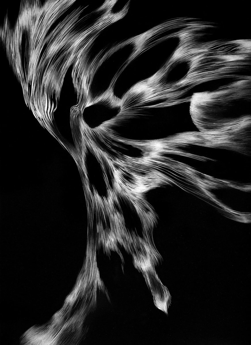 070821 - Series: Patterns of Change by Bea Ortiz  Image: 070821 - Series: Patterns of Change