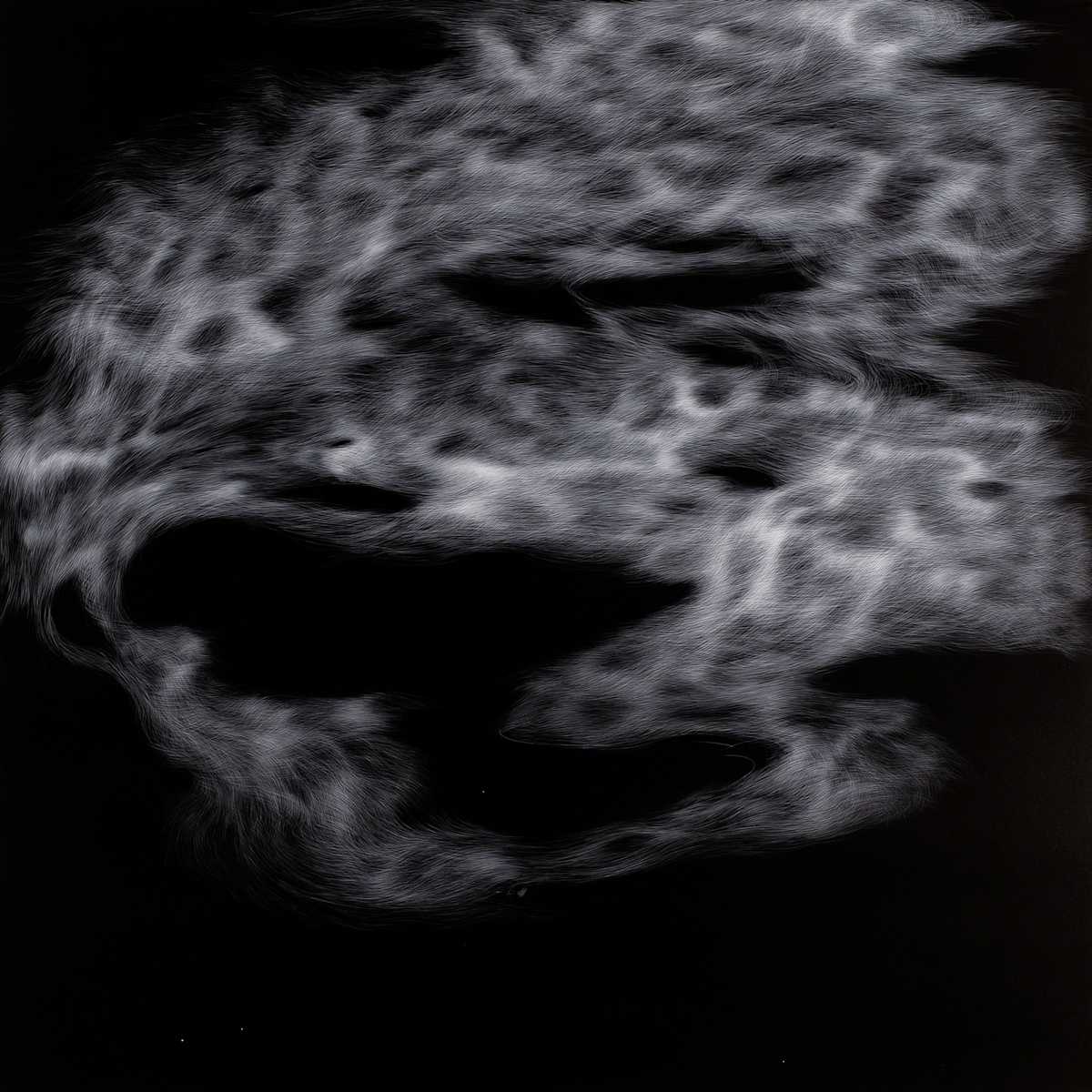 Suspended in Time by Bea Ortiz, Image 5.