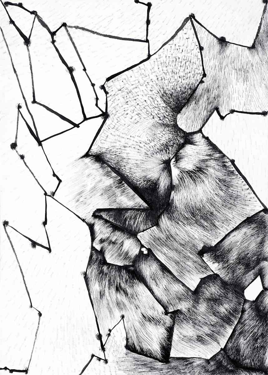 Bird by Bea Ortiz 