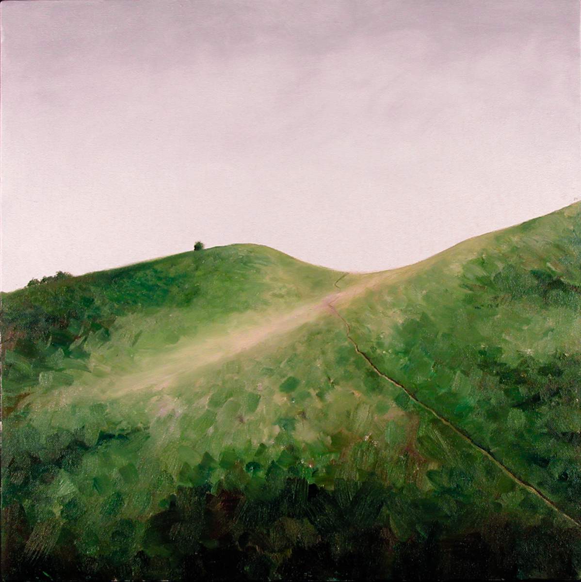 Ryan's Hills by Jacks McNamara, Image 1.