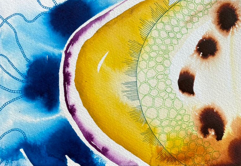 Cellular by Jacks McNamara, Image 1.