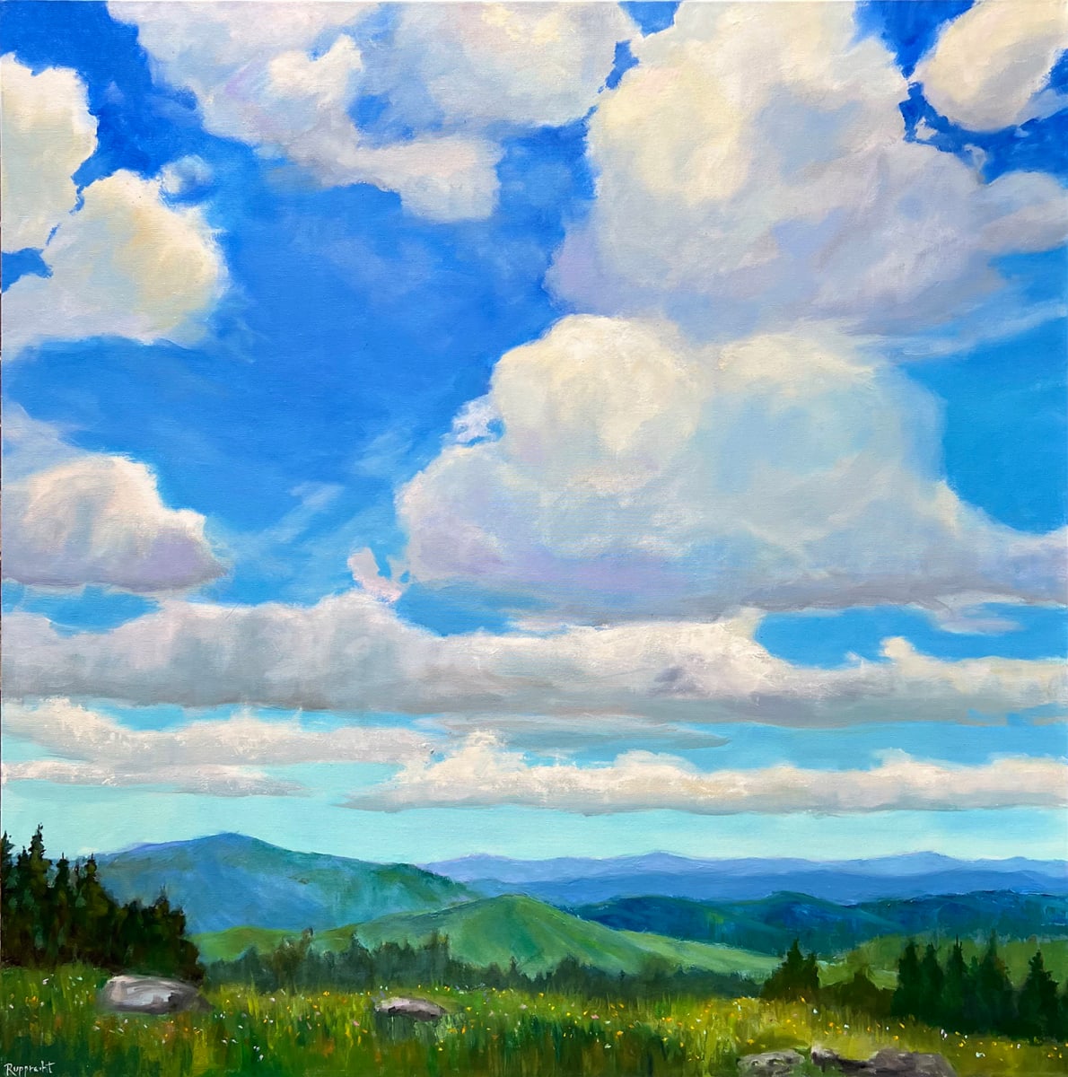 Wide Open Spaces (Carvers Gap) by Jean Rupprecht 