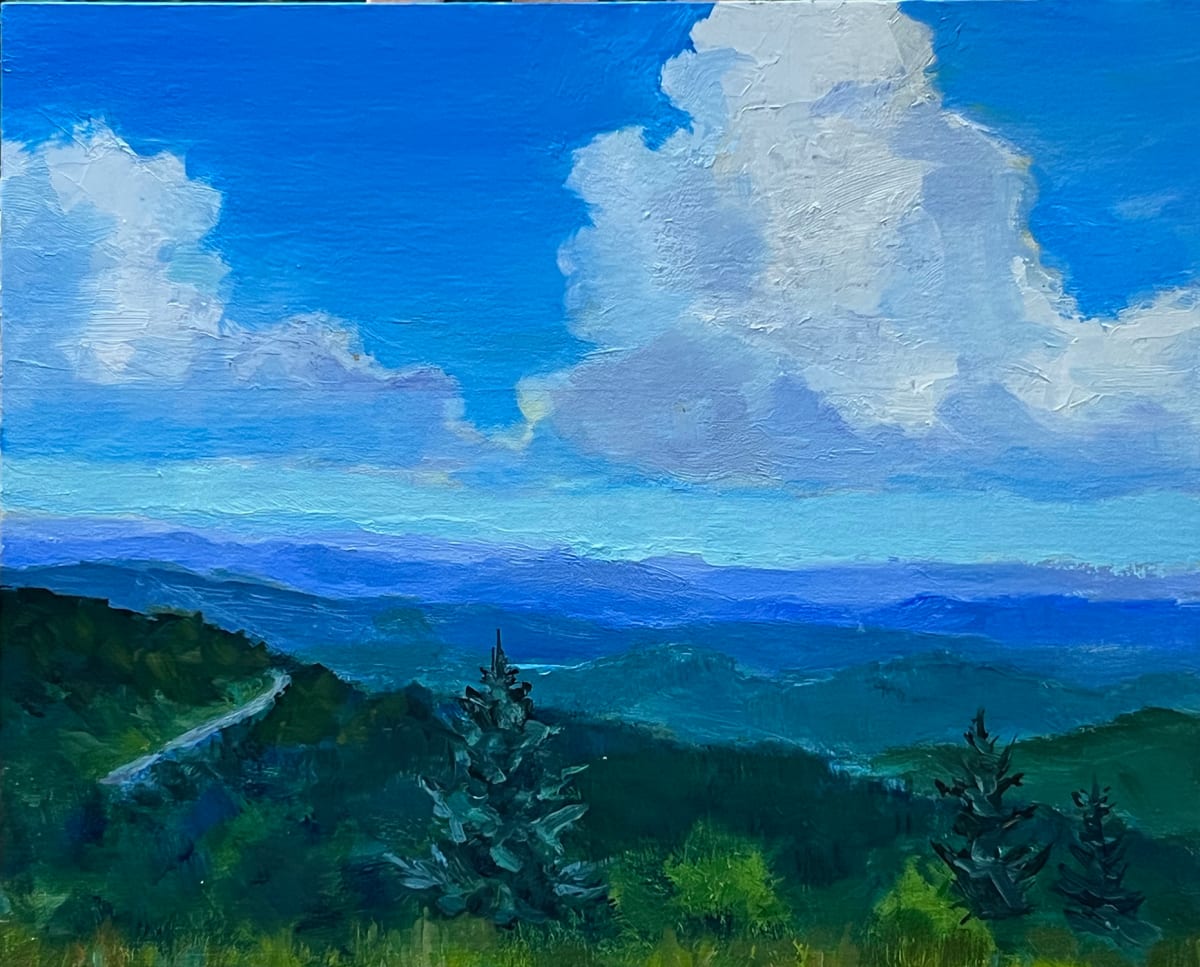 Linville Cove Overlook by Jean Rupprecht 