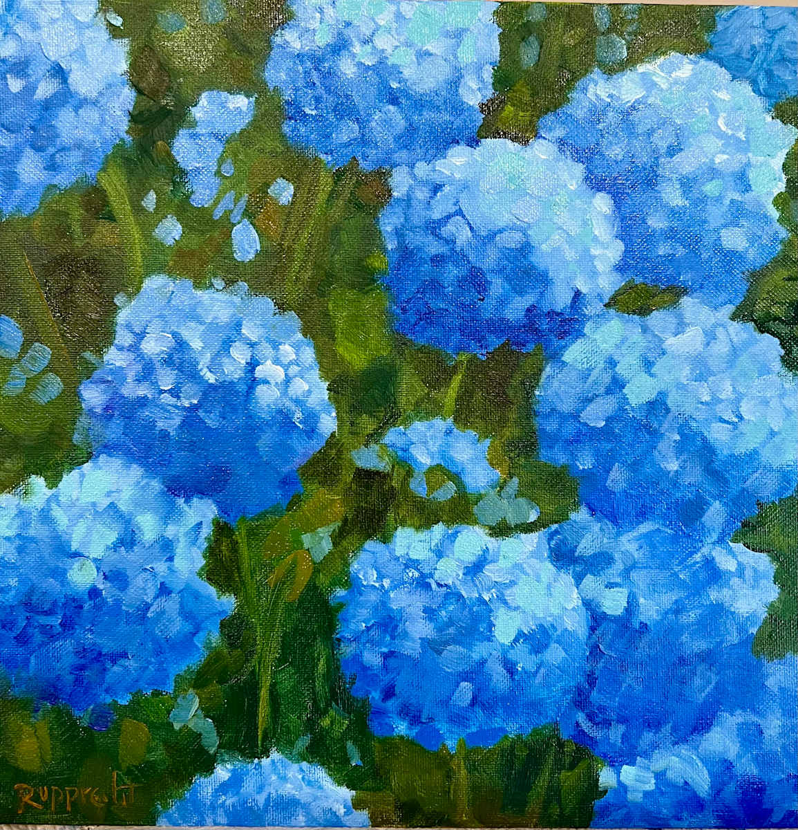 Hydrangea comission by Jean Rupprecht, Image 1.