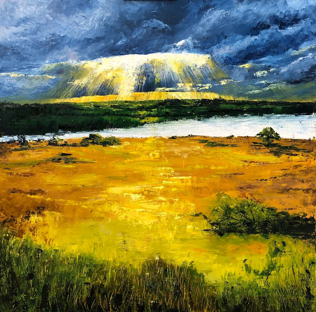 Morning Rays by Madeleine Elkin 