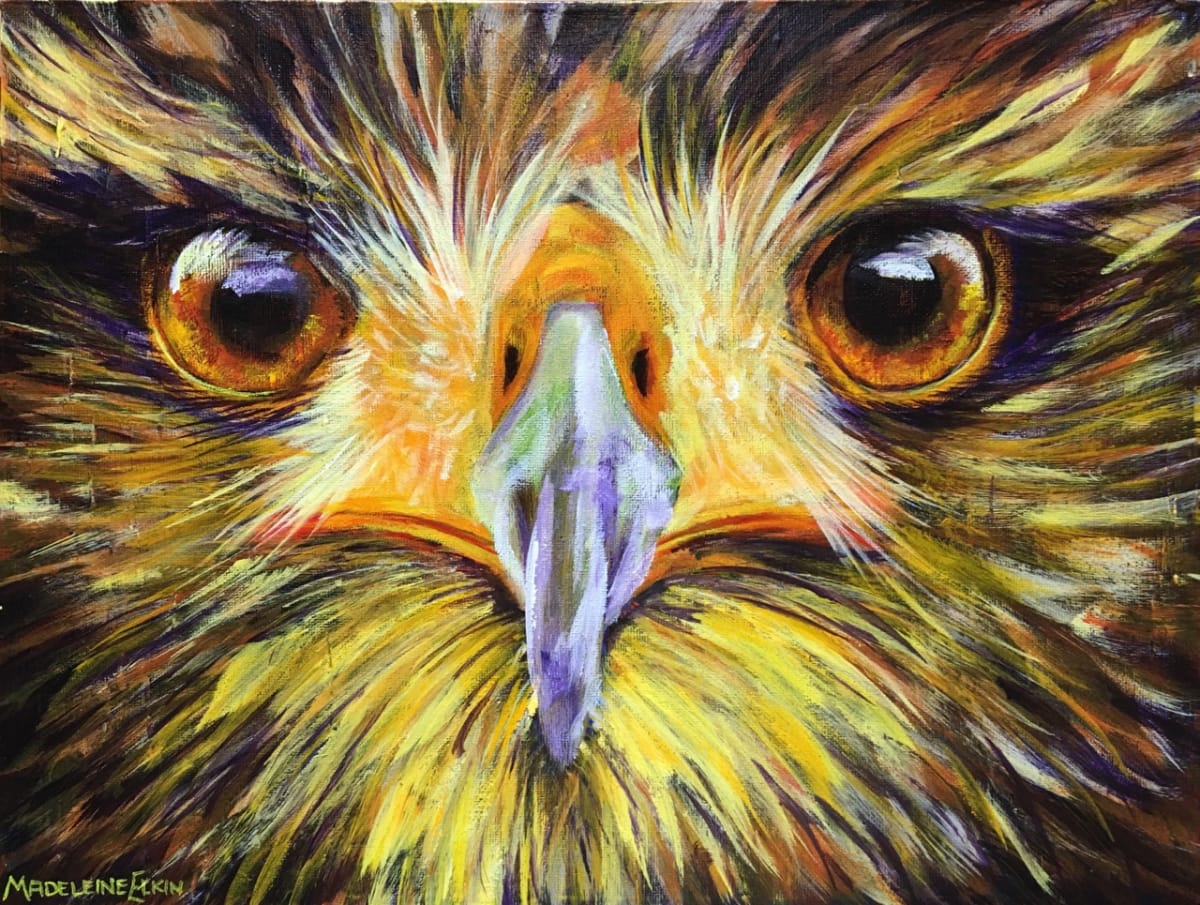 Eagle Eyes by Madeleine Elkin 