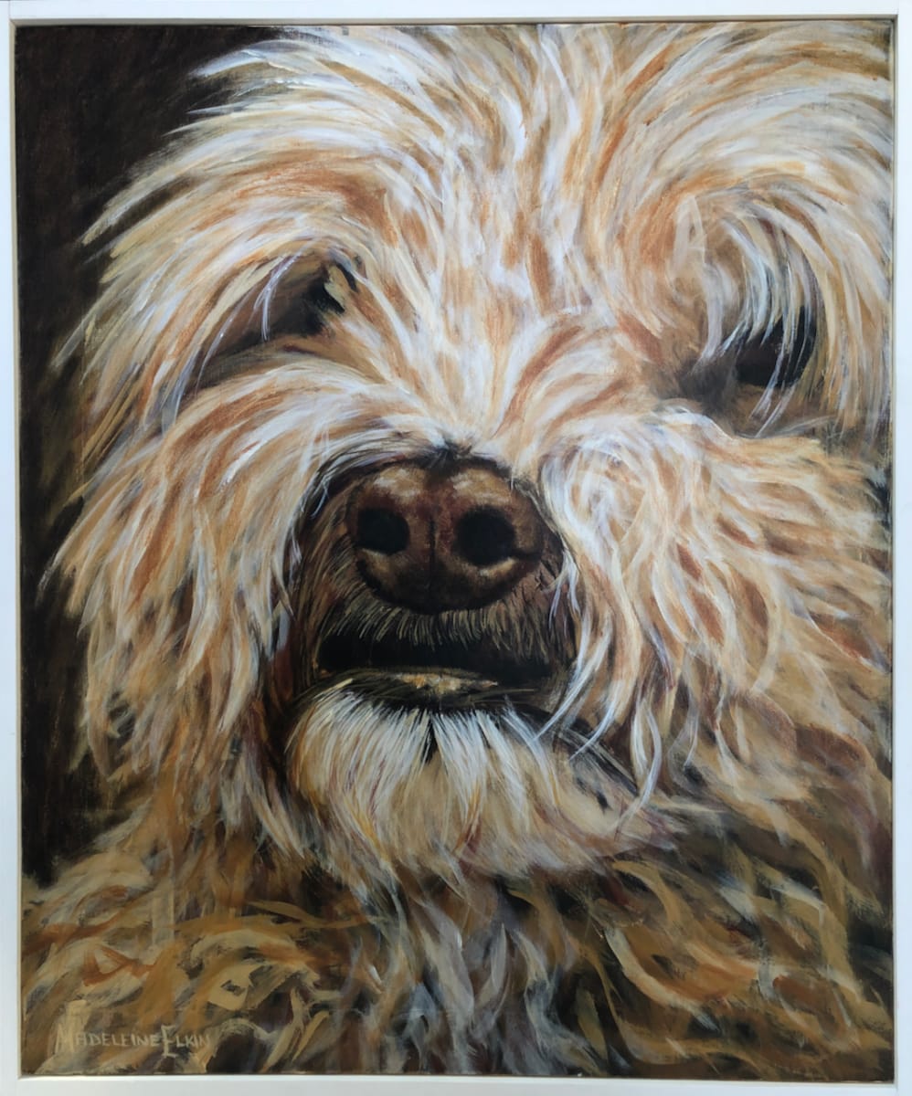 Lulu 