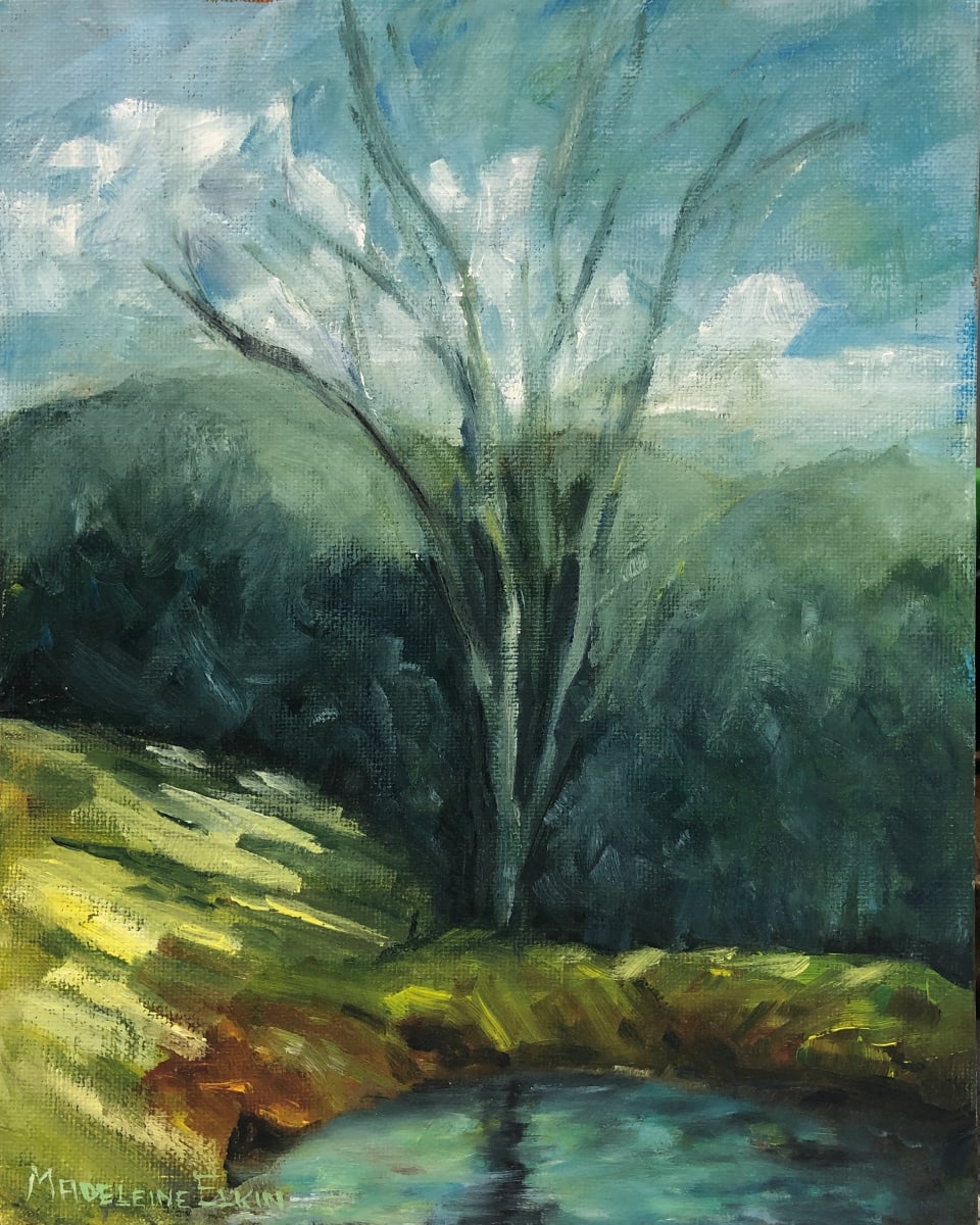 Watering Hole, Deep Creek I by Madeleine Elkin 