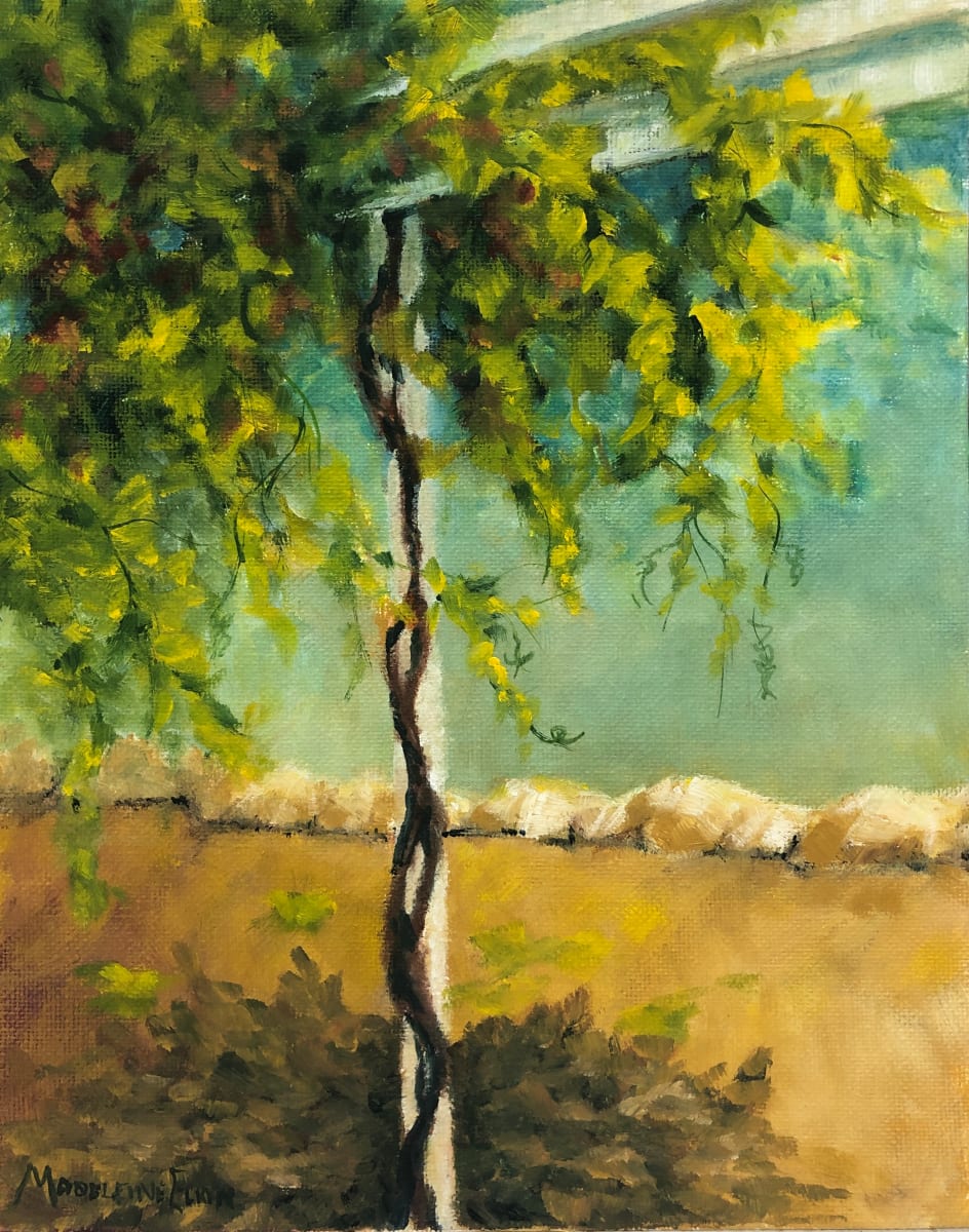 Tania’s Vine by Madeleine Elkin 