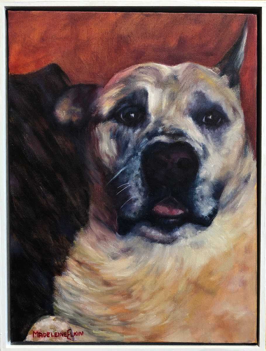 Hachi by Madeleine Elkin 