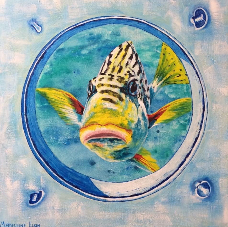 I-Sea-You by Madeleine Elkin 
