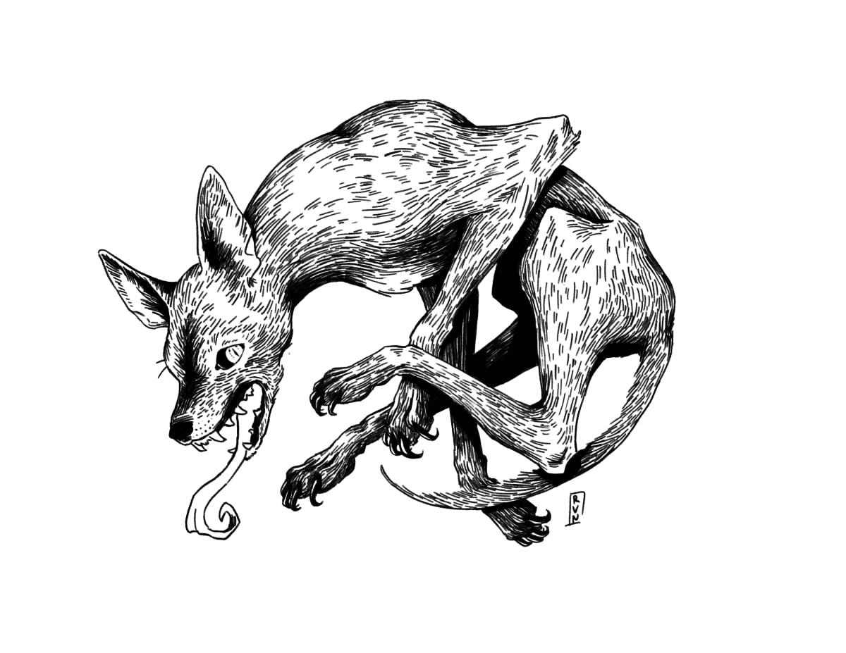 Gus by Rhys Nguyen, Image 1.