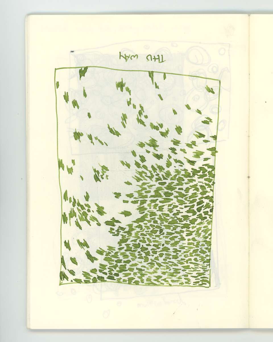 observations #11 by Rhys Nguyen 