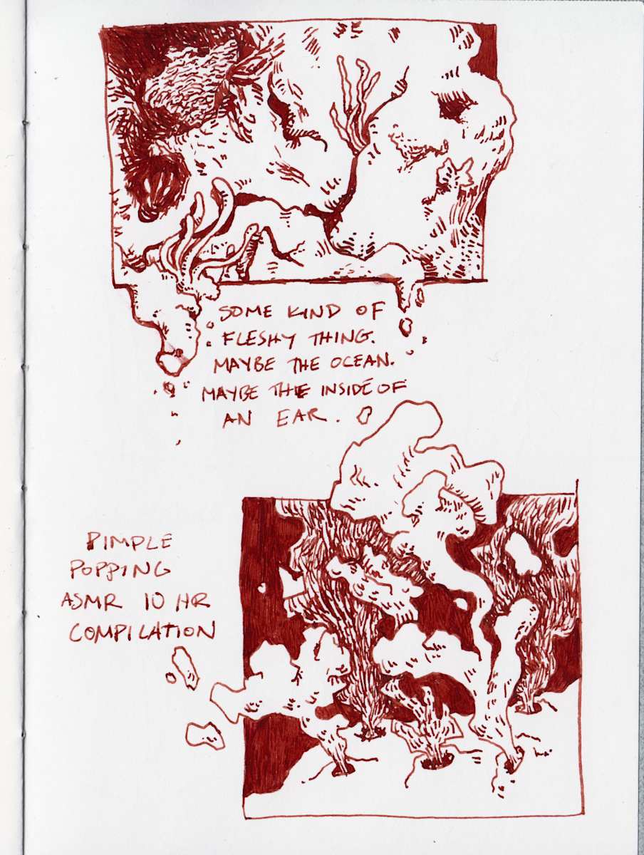 observations #3 by Rhys Nguyen, Image 3.