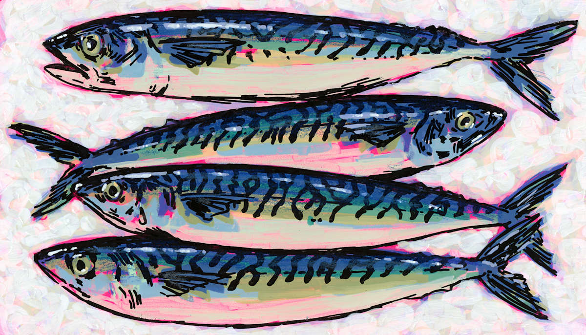 Mackerel by Rhys Nguyen 