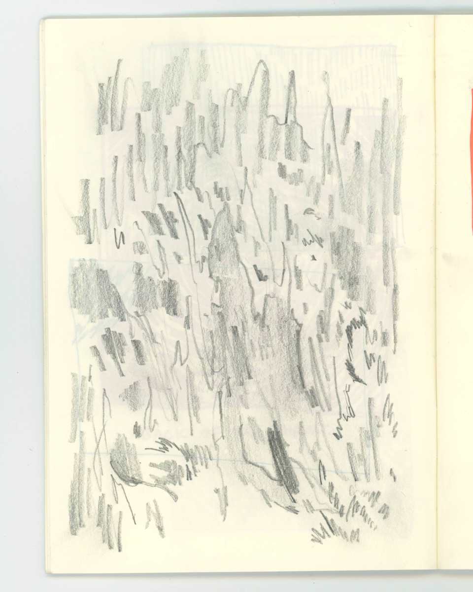 observations #10 by Rhys Nguyen, Image 1.