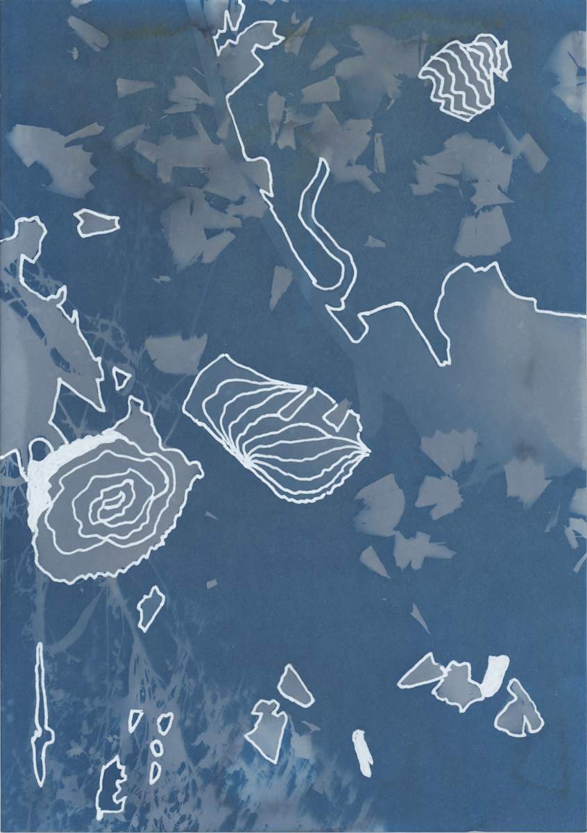 untitled by Rhys Nguyen, Image 4.