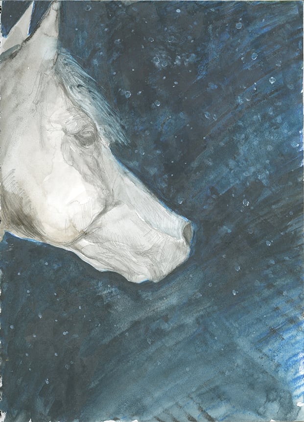 2002 Year of the Horse Study 4 by laura-leigh  Image: Watercolor study for the first piece created for the ongoing series illustrating the Chinese New Year Cycle - The Year of the Dark Horse in 2002.