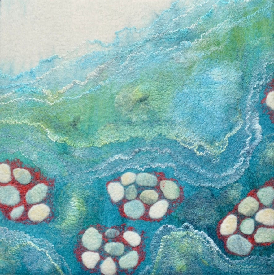 When you know where to look by Caroline Burton 