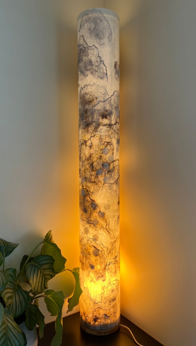 Metamorphic 2 Light Tube by Caroline Burton 