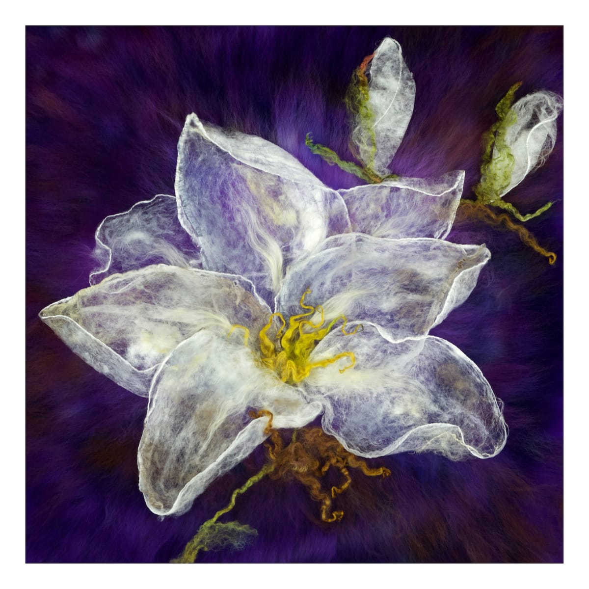 Midnight Magnolia 30x30 by Caroline Burton 