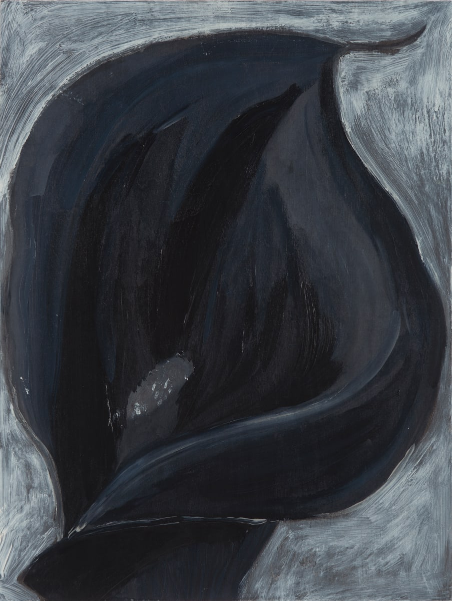 Black Lily by Cathryn Lynea 