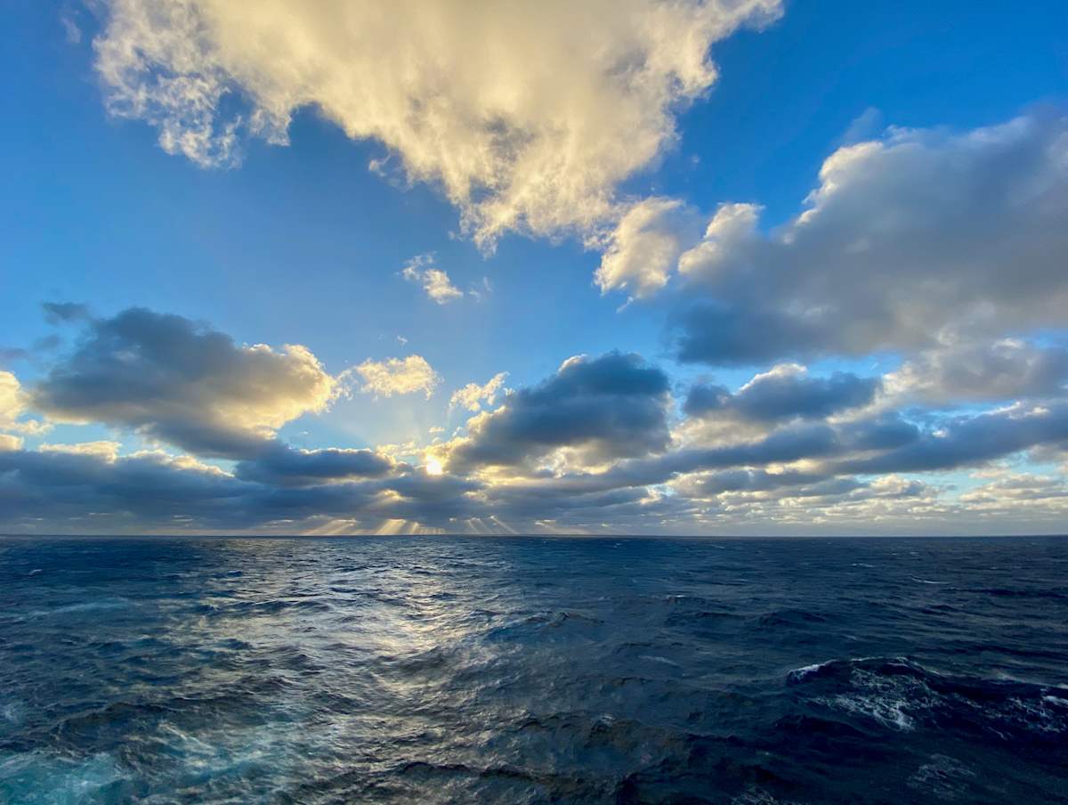 All Aboard! by Chrissy Lind 