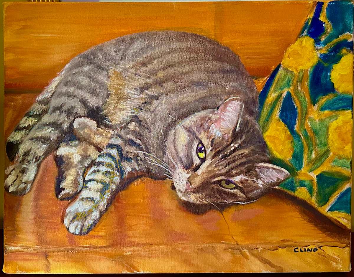 Acorn by Chrissy Lind  Image: Acorn was left in an empty apartment after the tenants moved out.  He is now a happy guy with a very happy home.  He enjoys "hiking" and accompanying his new family on trips around the US to national parks and forests.