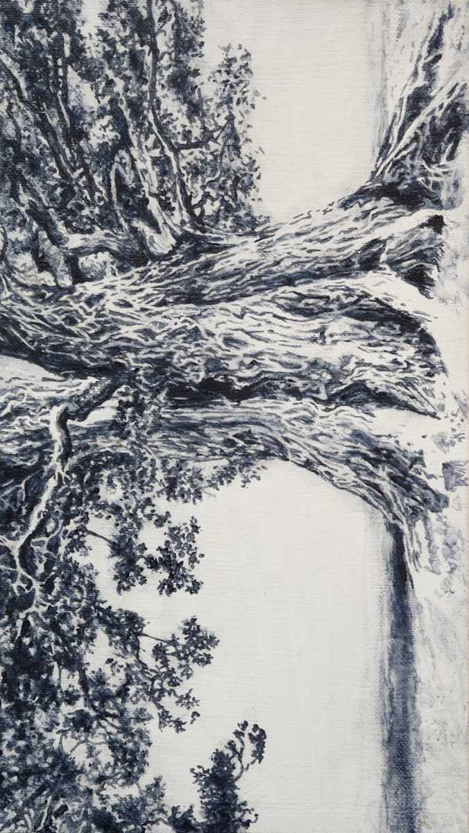 IMG_6032 (The Oak) by Johnny Höglund, Image 2.