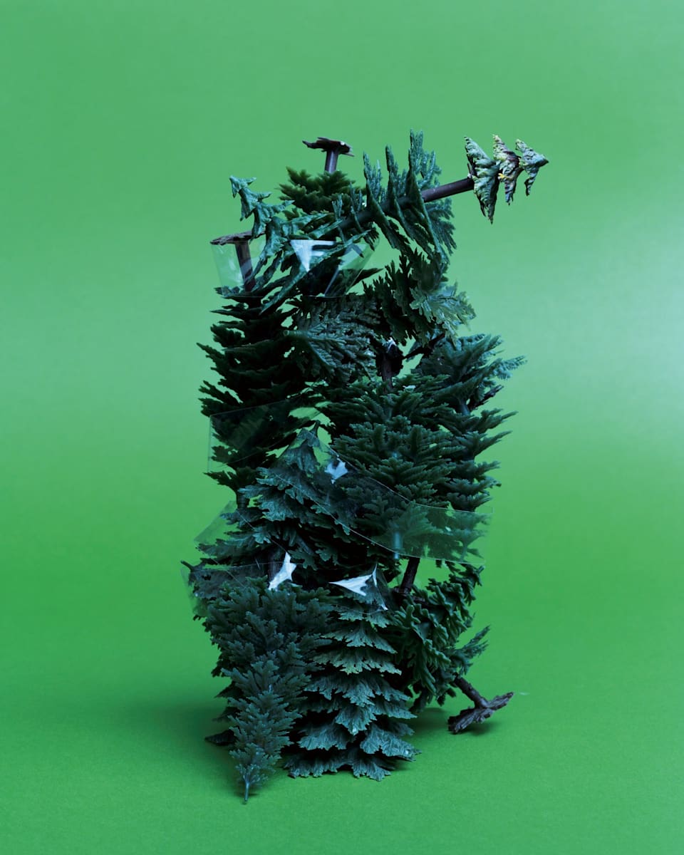 Hypnotic Forest by Anna Kleberg Tham, Image 2.