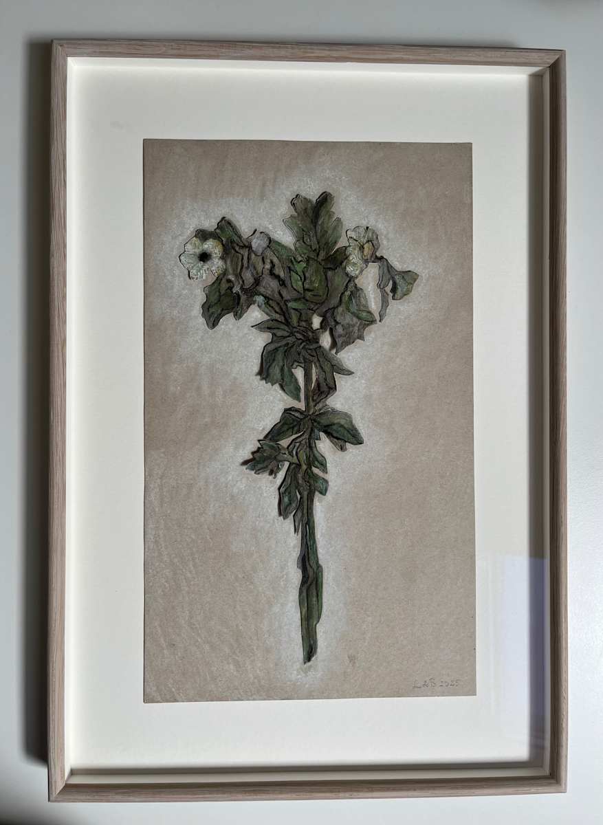 Bolmört by L&B (Laura Fahlsten & Britta Kjellgren Jäger), Image 1.