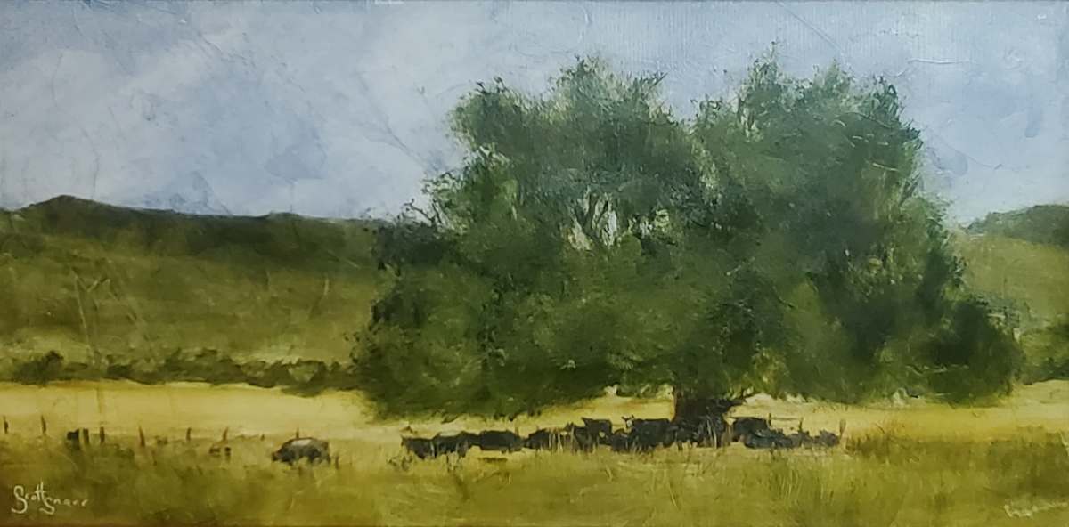 Shade Seekers by Scott Snarr 