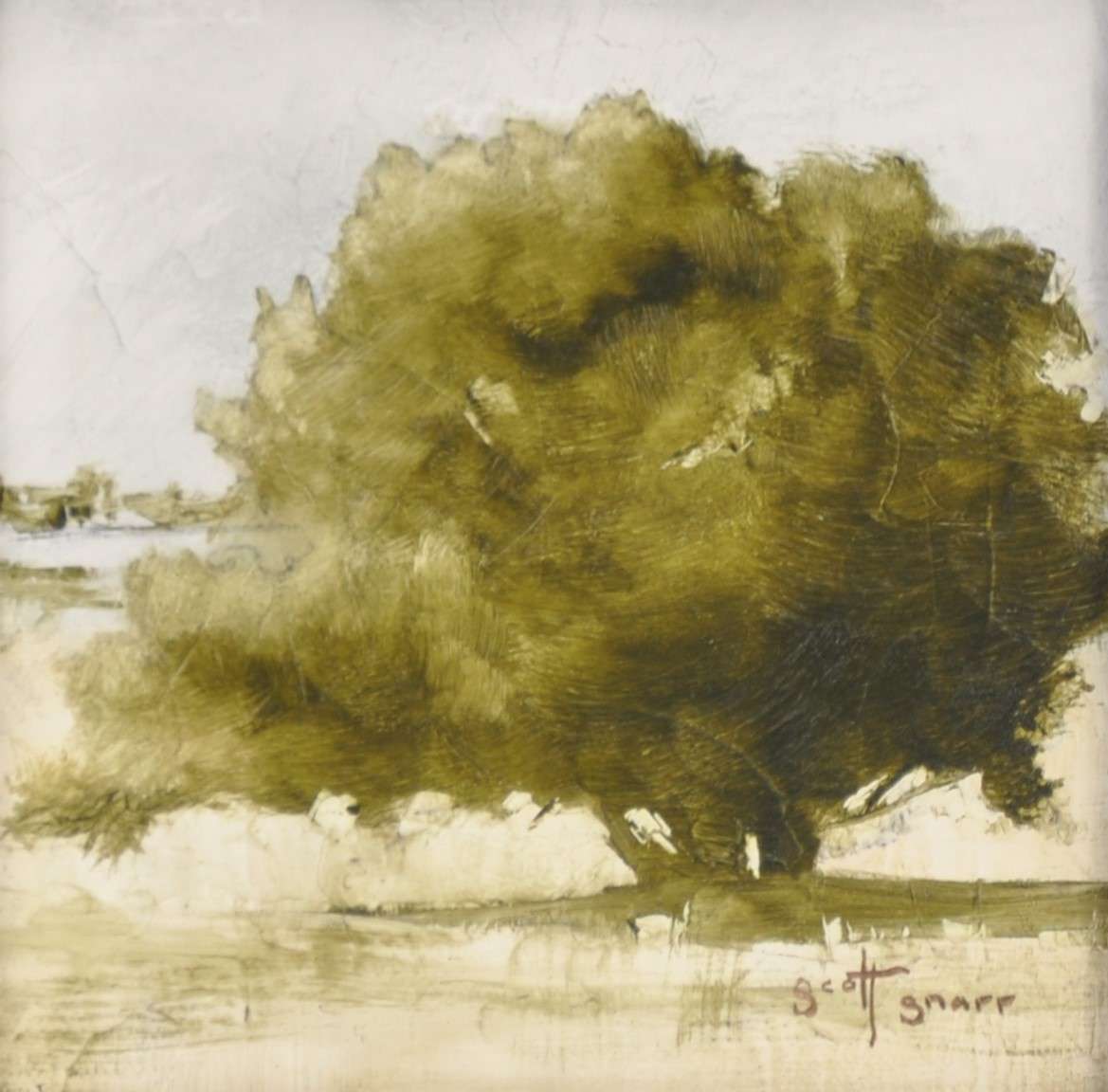 Tree Study I by Scott Snarr 