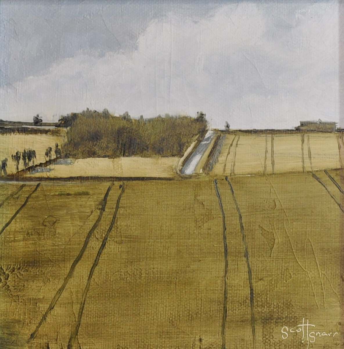 Green Fields by Scott Snarr 