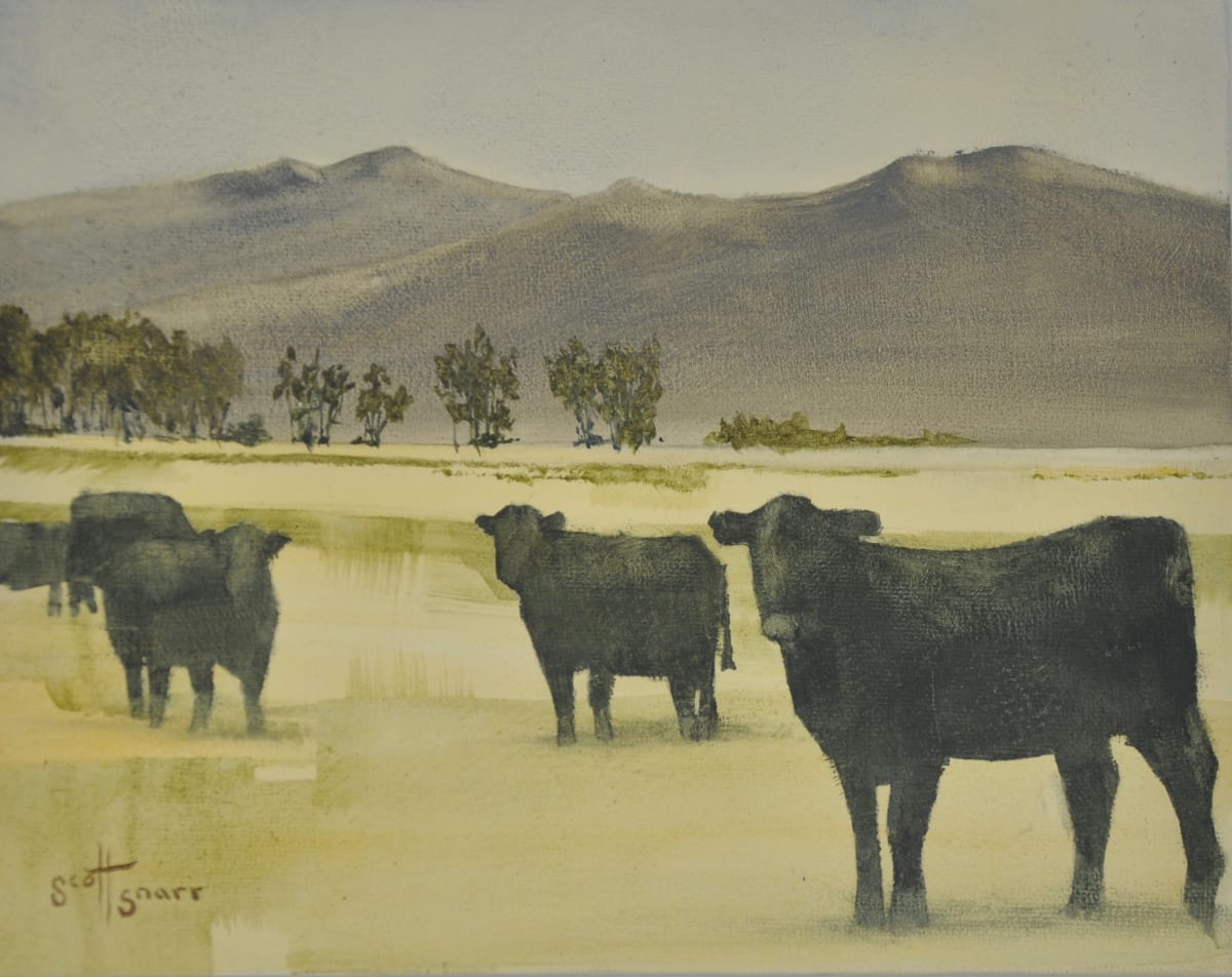 Watching Cows by Scott Snarr 