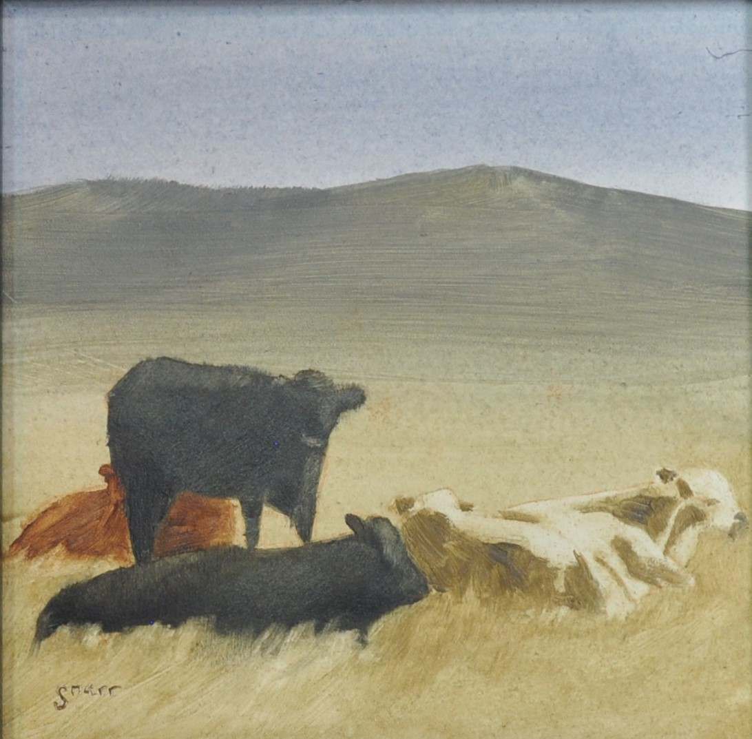 West Desert Cow Herd by Scott Snarr 