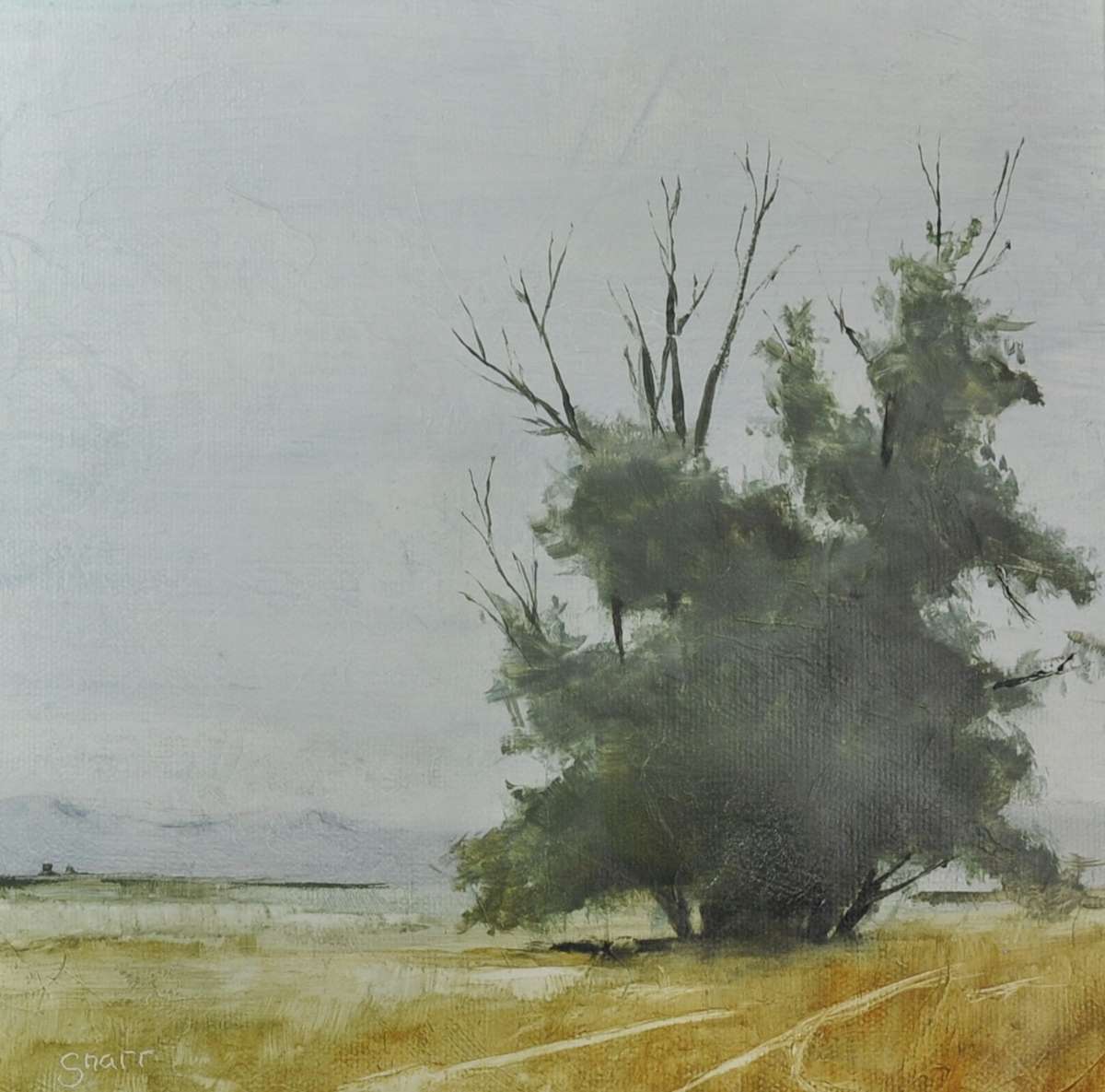 Russian Olive by Scott Snarr 