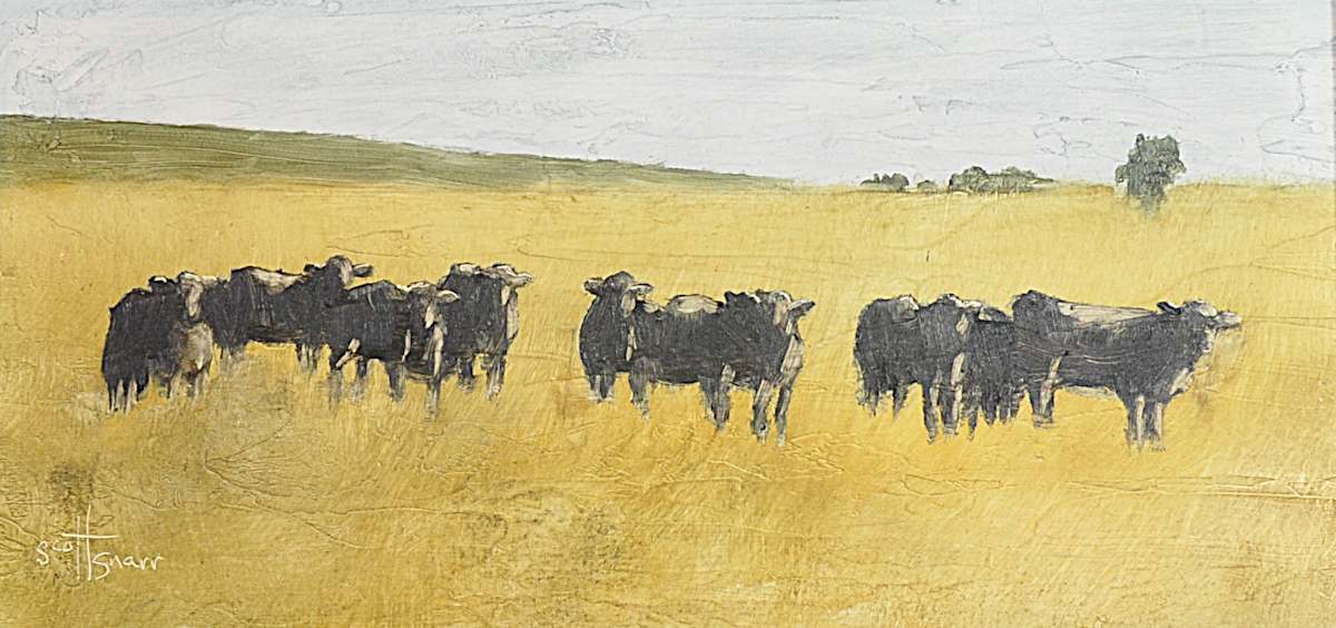 Black Angus Herd by Scott Snarr 